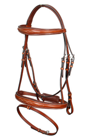 Bridle